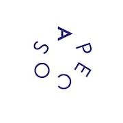 Logo APE